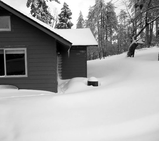 The Cabin