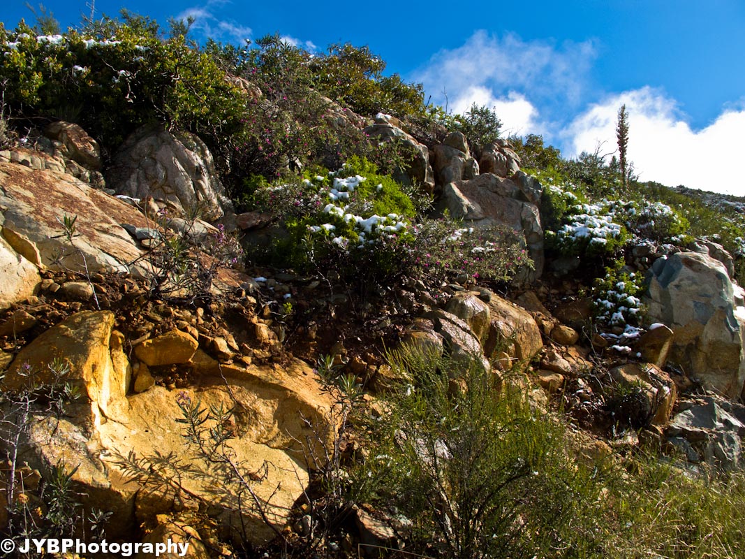 2011-04-09 Otay Mtn-10.jpg