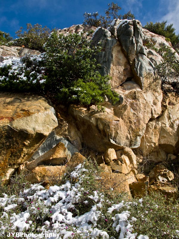 2011-04-09 Otay Mtn-11.jpg