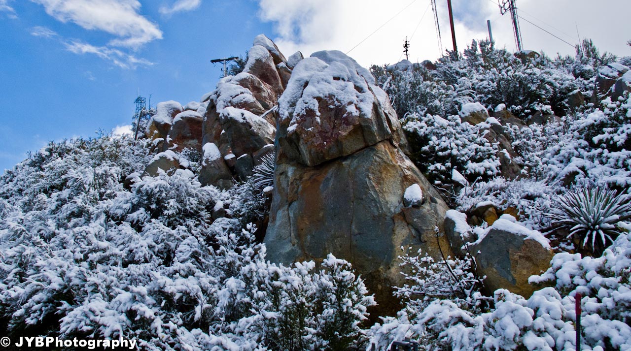 2011-04-09 Otay Mtn-13.jpg