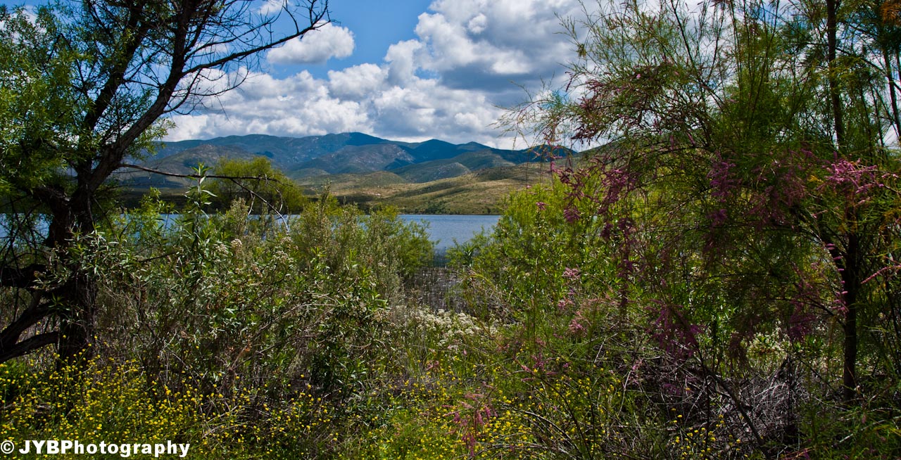 2011-04-09 Otay Mtn-20.jpg