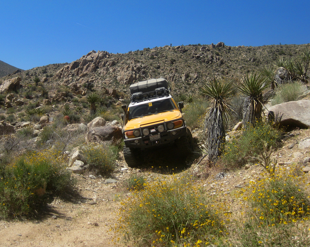 East Mojave Desert, May 2010