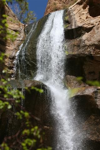 IMG_6000 .JPG