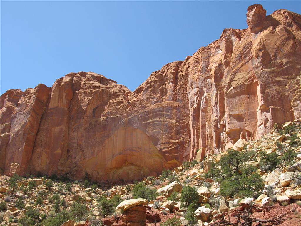 IMG_0103 (Large).JPG