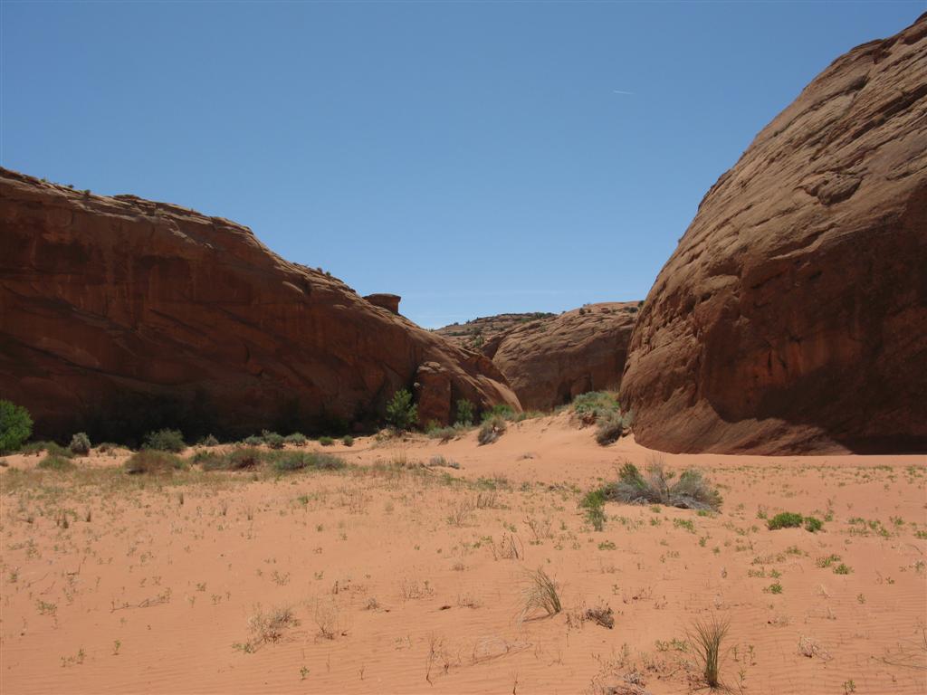 IMG_0169 (Large).JPG