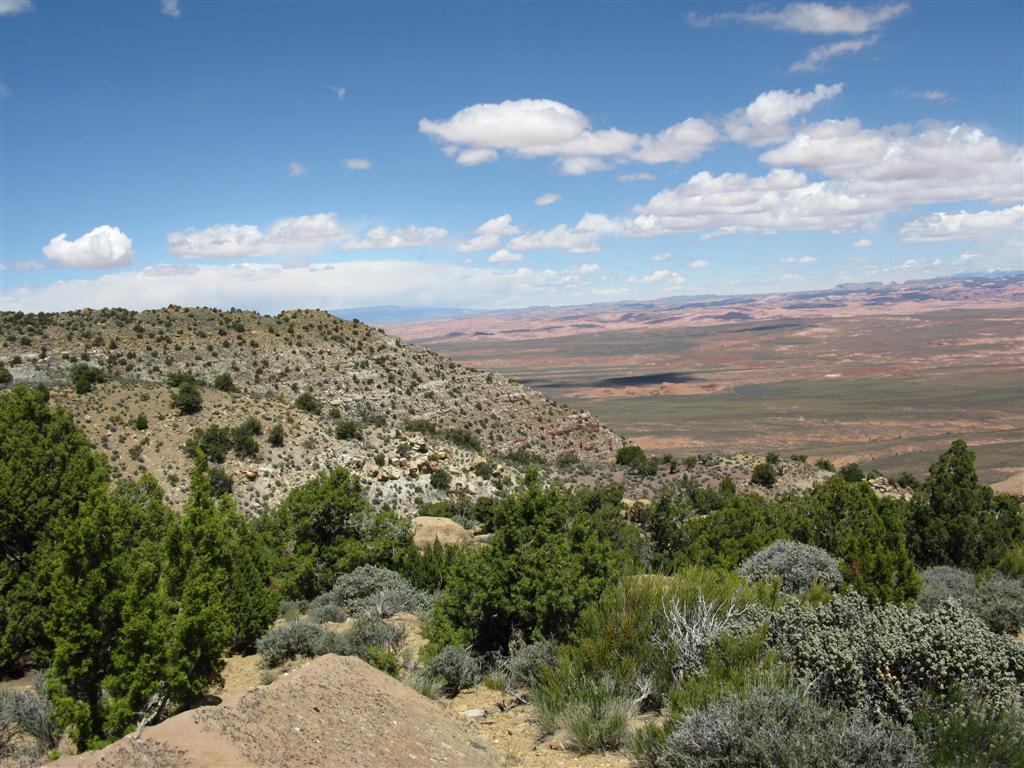 IMG_0259 (Large).JPG