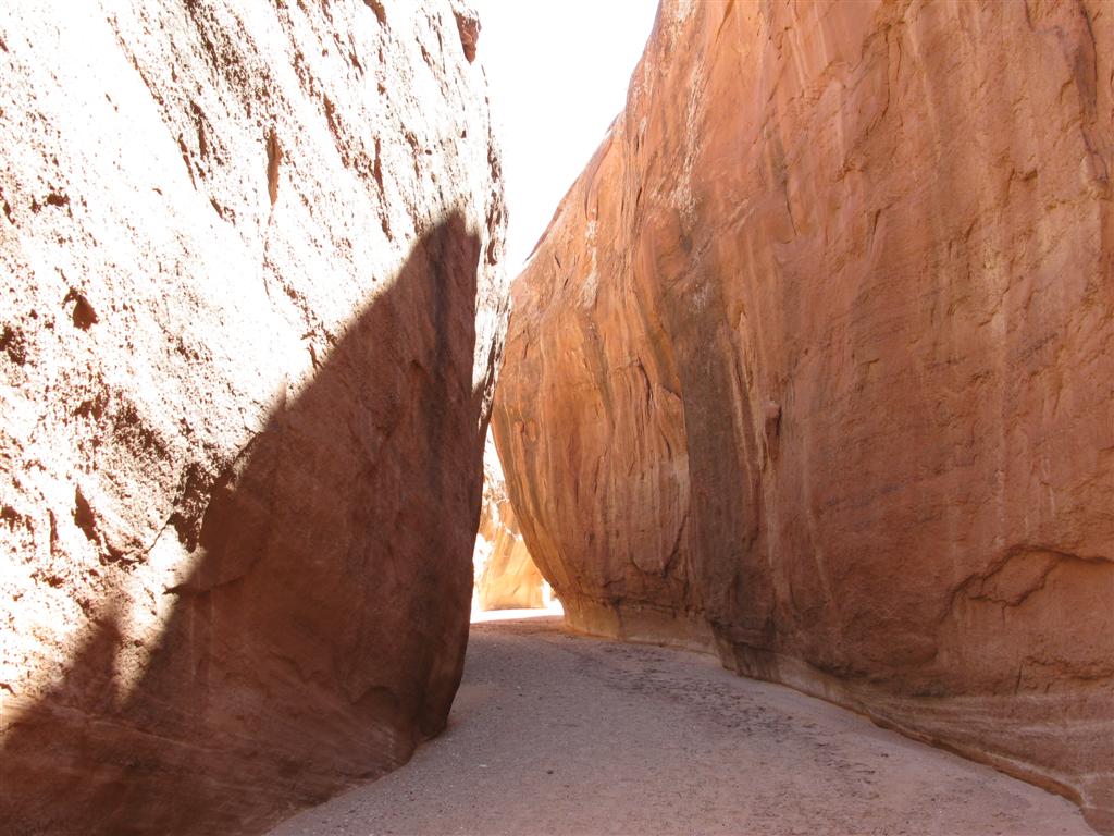 IMG_0139 (Large).JPG