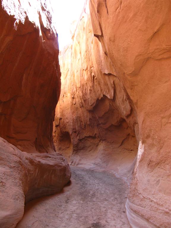 IMG_0149 (Large).JPG