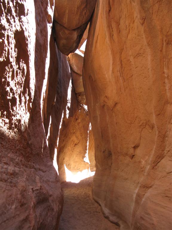 IMG_0162 (Large).JPG