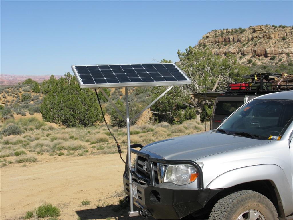 IMG_0198 (Large).JPG