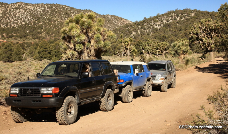 The road less traveled