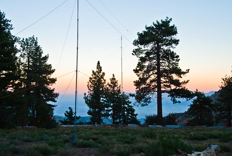 SummerFest 2011-2.jpg