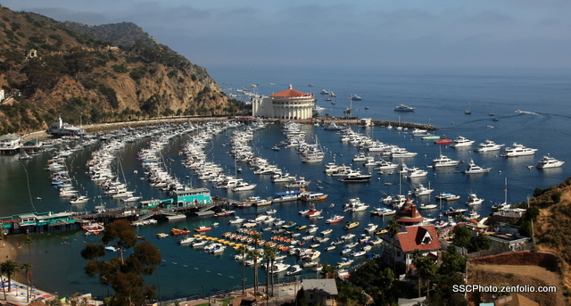 Many Boats
