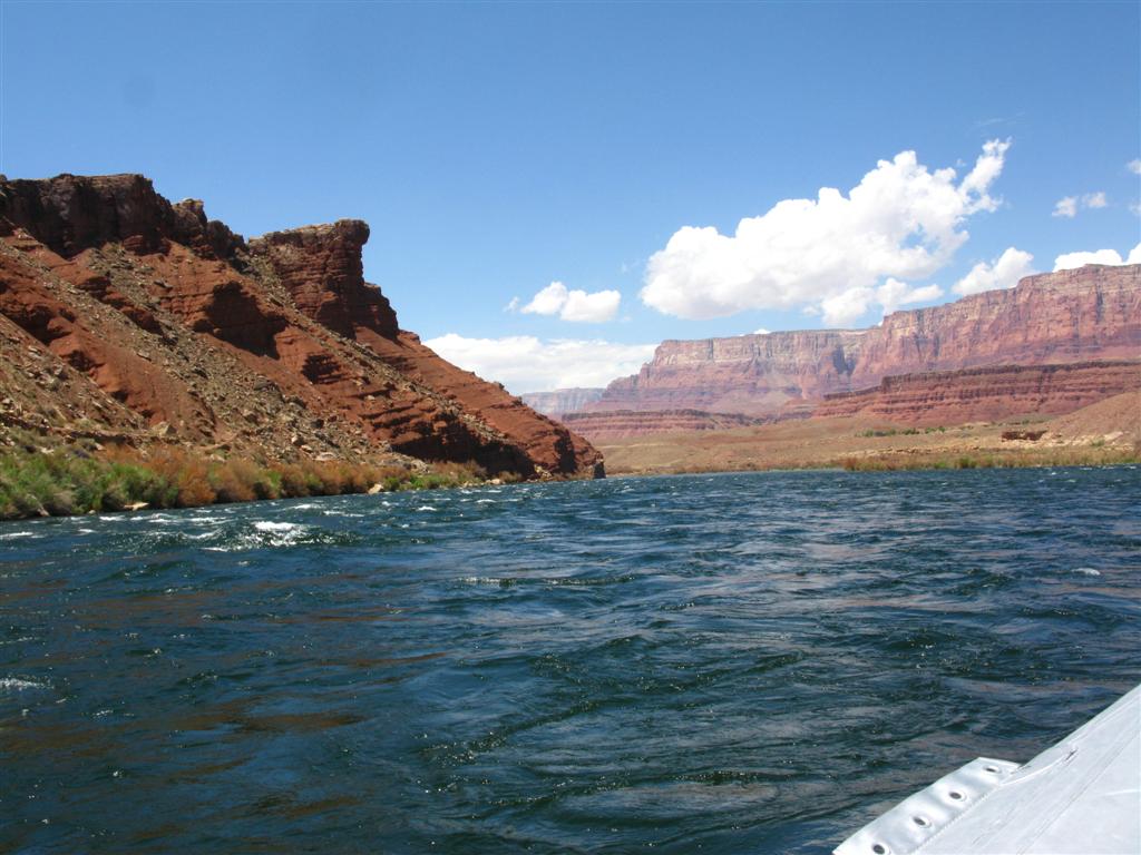 IMG_0009 (Large).JPG