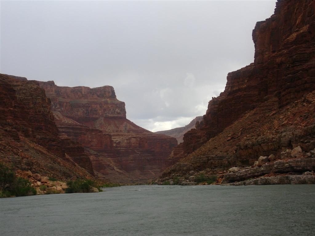 IMG_0083 (Large).JPG