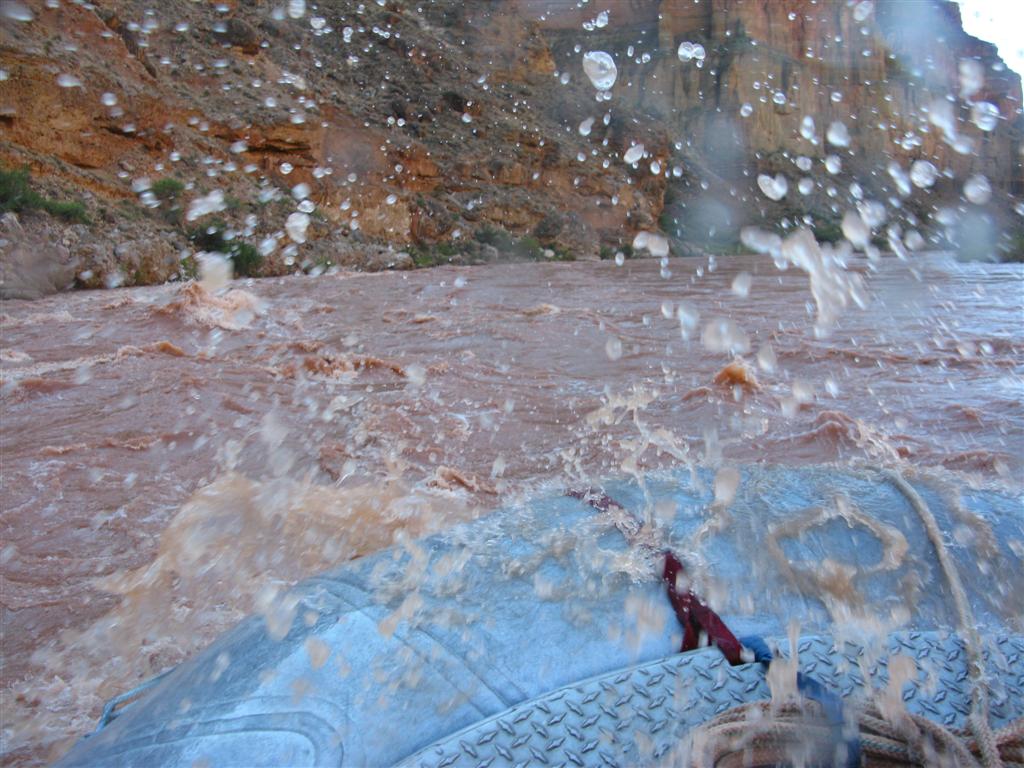 IMG_0337 (Large).JPG