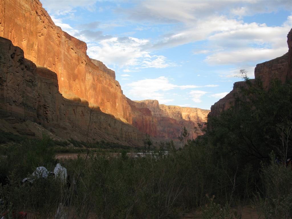 IMG_0309 (Large).JPG