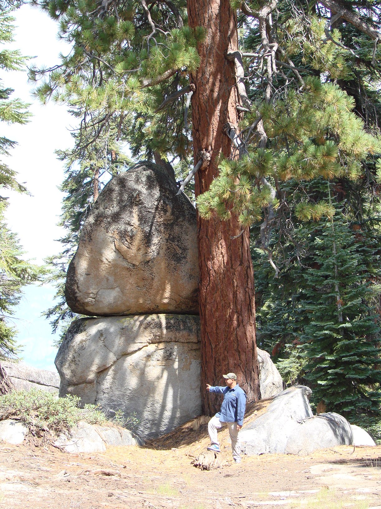 Ben dwarfed by a Sequoia and a rock formation