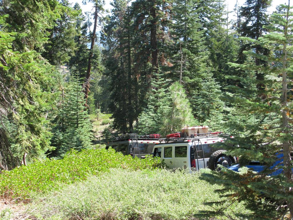 IMG_0032 (Large).JPG