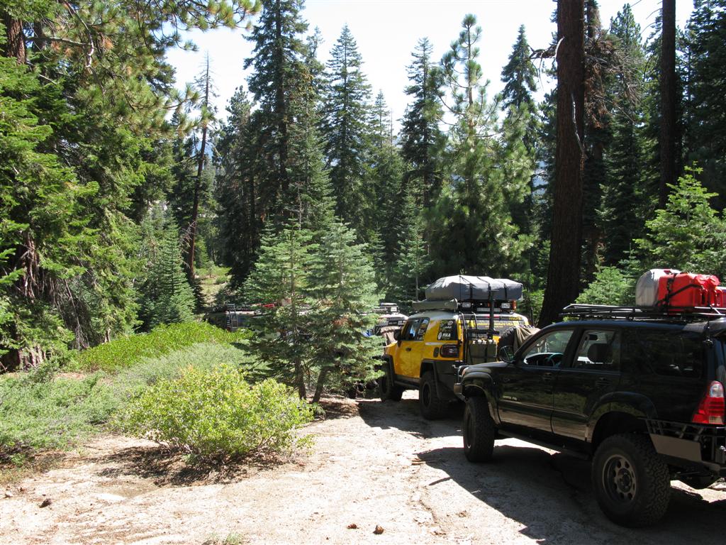 IMG_0027 (Large).JPG
