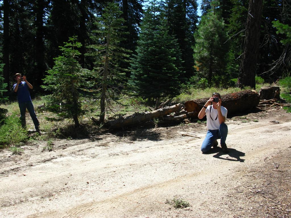 IMG_0029 (Large).JPG