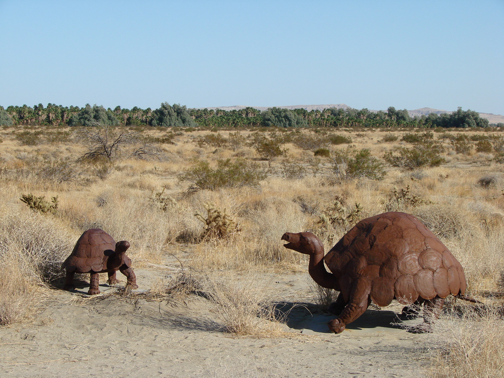 Prehistoric Tortoises