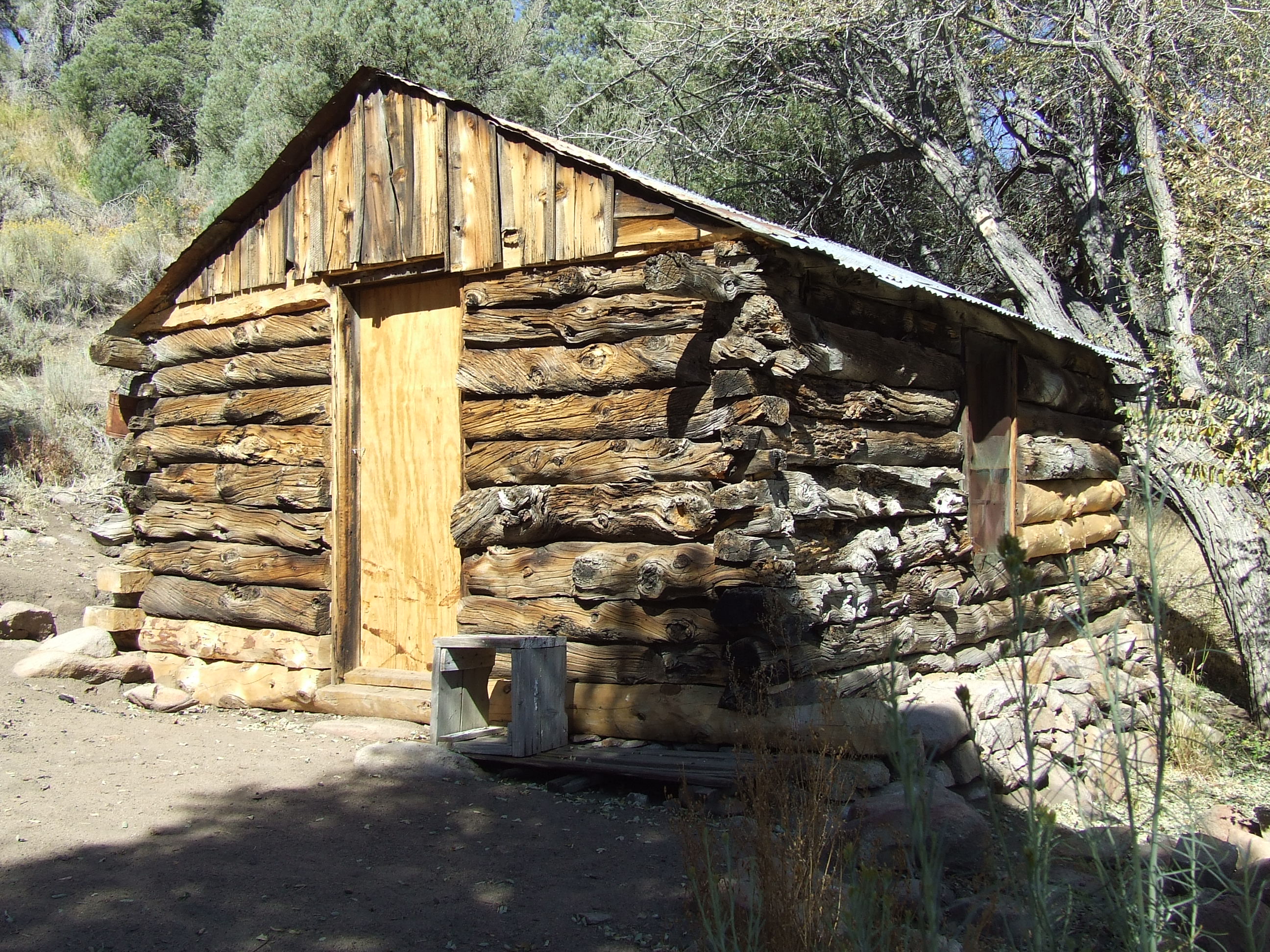 DSCF0353.JPG