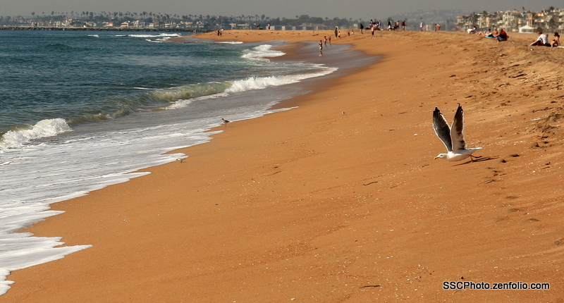 Sunset Beach