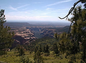 Dark Canyon.jpg