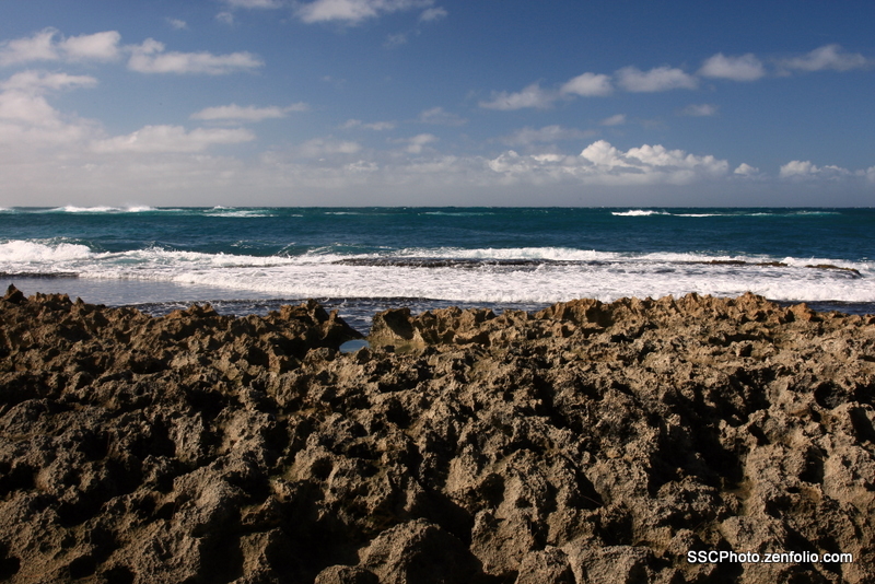 Turtle Bay