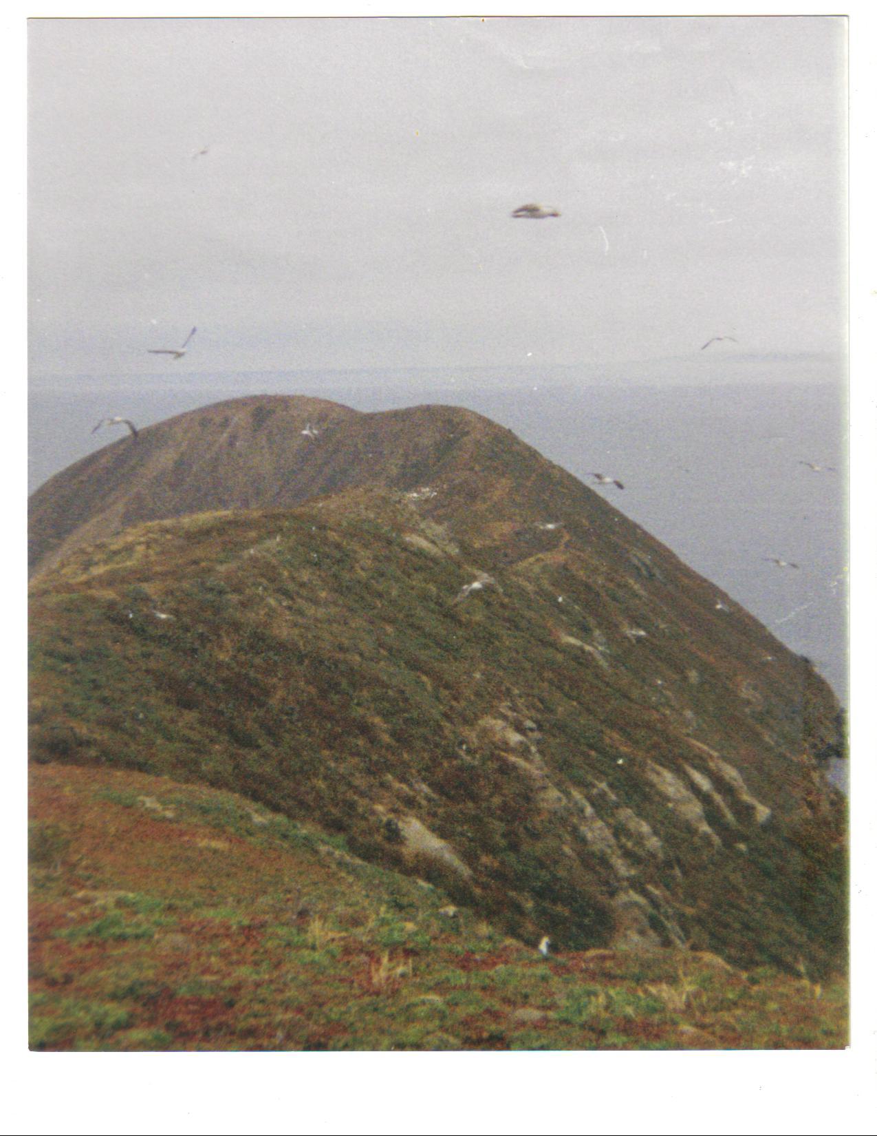 Summit view, Isla Sur, Islas Los Coronados, Baja California, Mexico.