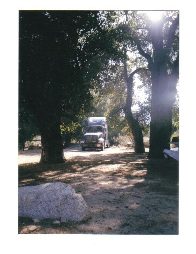 Truck camping in a big ol' International, Cottonwood Campground, McCain Valley, San Diego County, CA.