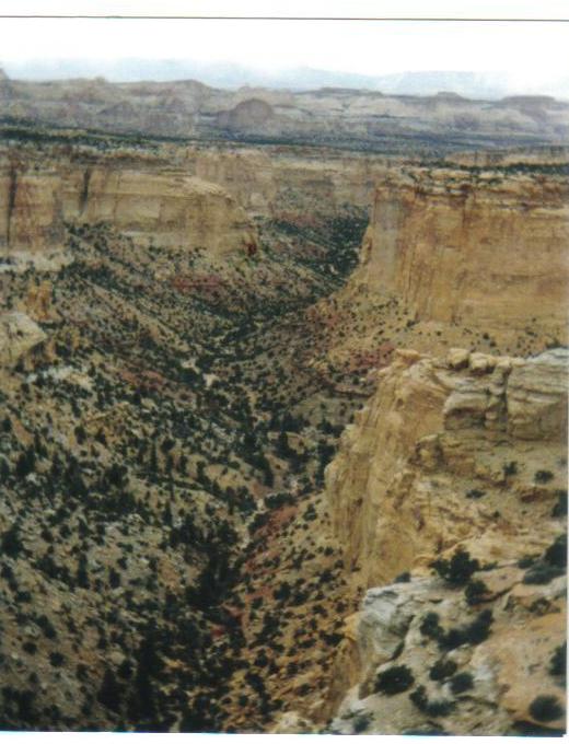 Canyon on the San Rafael Swell, UT... one of my favorite areas nationwide.