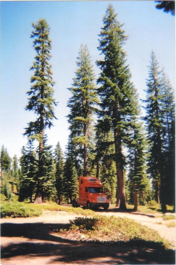 Truck camping on Mt. Shasta, CA... and NO, that's NOT a Schneider truck!!! (LOL)