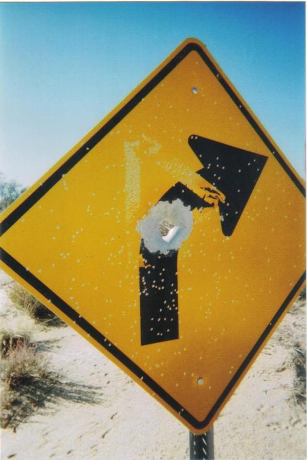 Signs... an endangered species on BLM land.