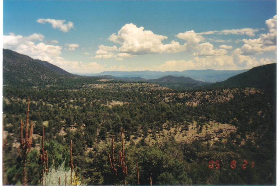 Wilderness view, NM.