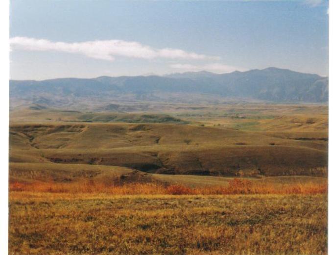 Prairie view near MT/WY line...