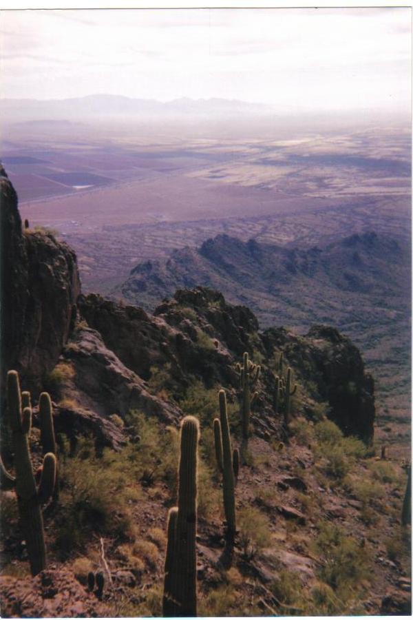 High on Picacho Peak in SW AZ... an island in the sky.