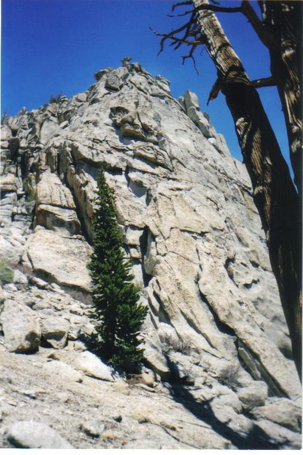 Another shot of the same crag... pulled an on-sight tribute solo to a deceased friend here, and the rock is excellent.