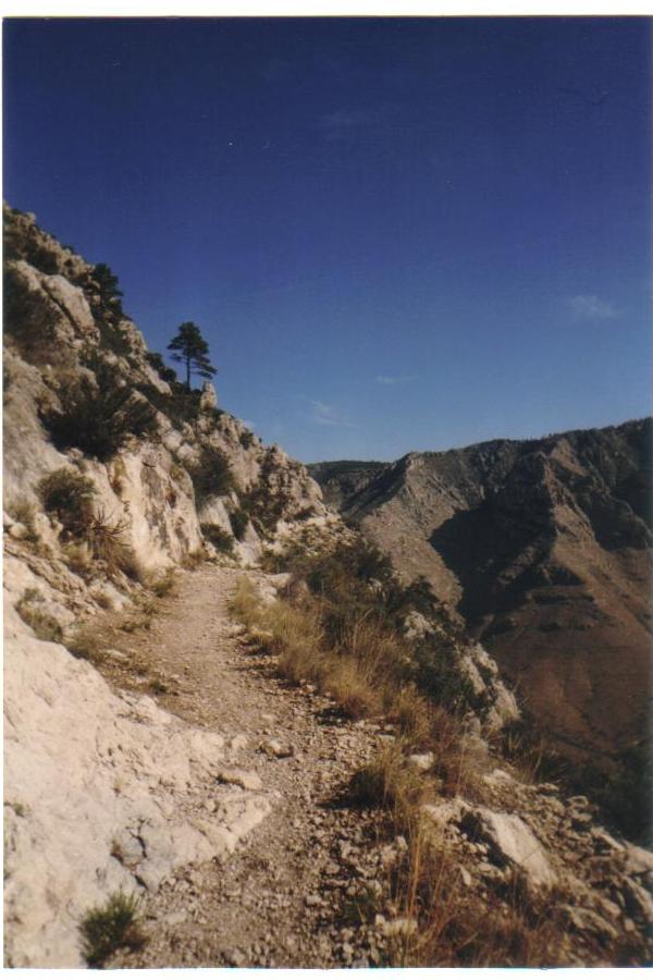 Guadalupe Peak Trail, Guadalupe Mountains National Park, TX. See the whole hike at the other site I mentioned in my introductory thread.