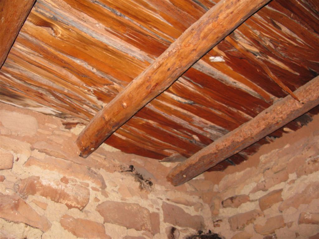 IMG_0408 (Large).JPG