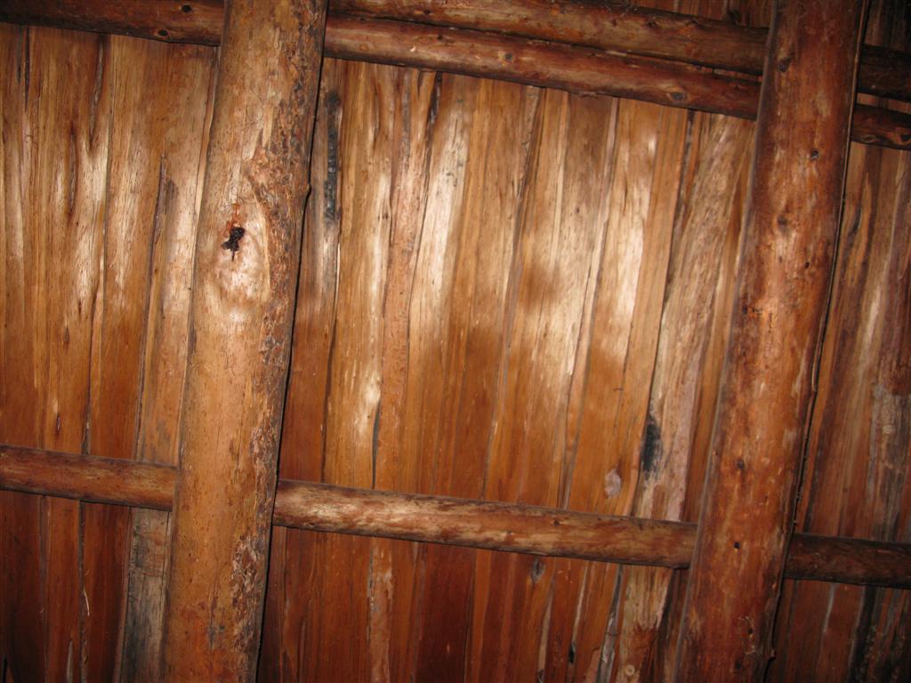 IMG_0412 (Large).JPG