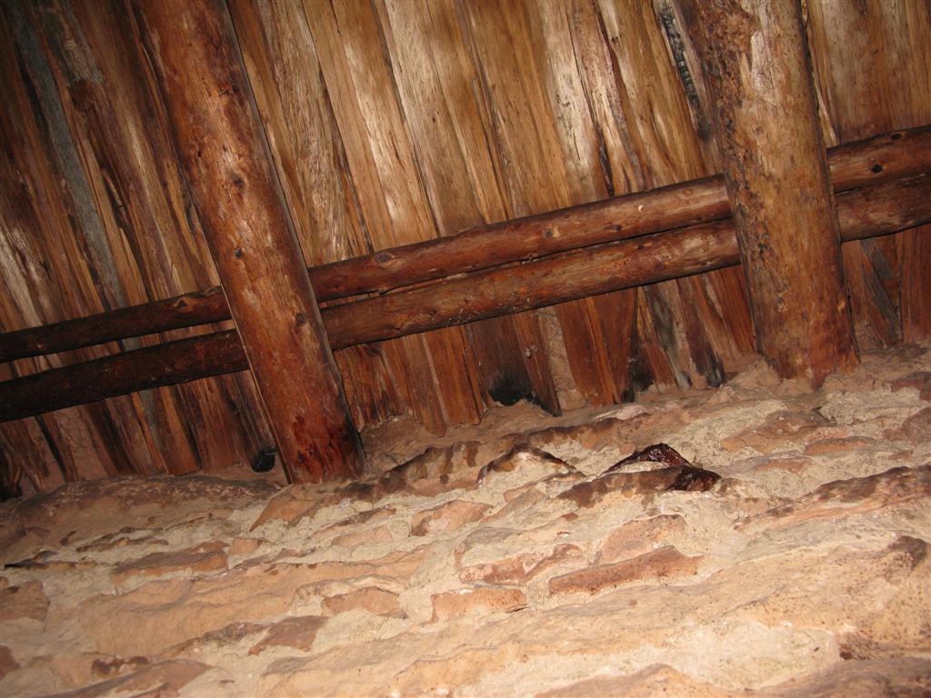 IMG_0415 (Large).JPG