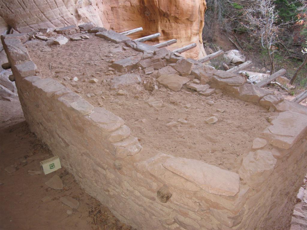 IMG_0423 (Large).JPG