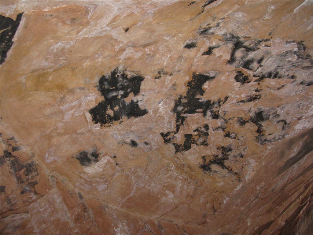 IMG_0429 (Large).JPG