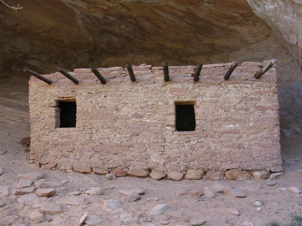 IMG_0432 (Large).JPG