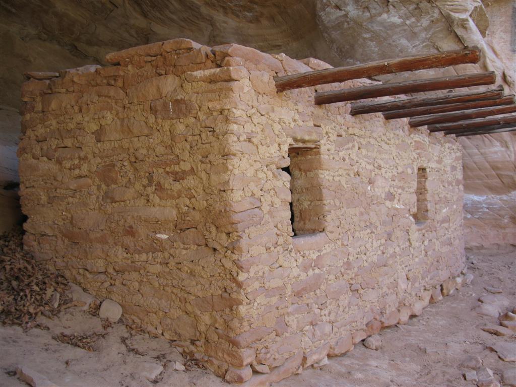 IMG_0436 (Large).JPG