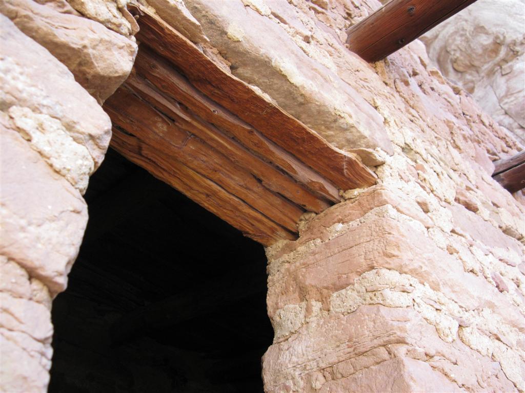 IMG_0443 (Large).JPG