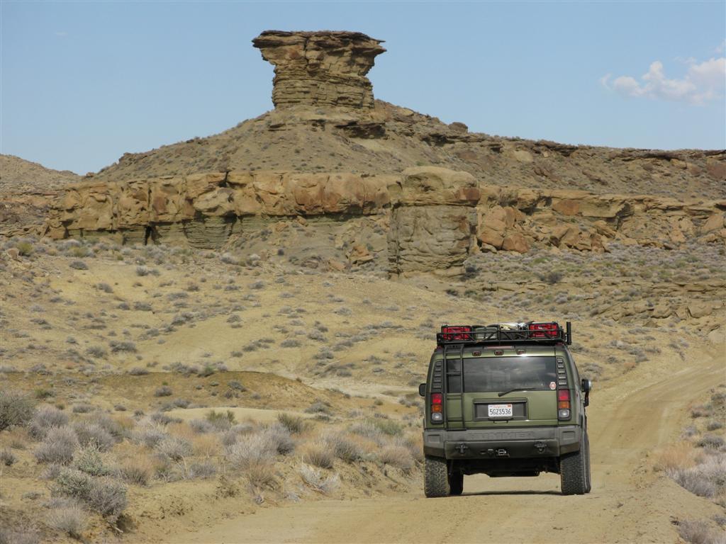 IMG_0178 (Large).JPG