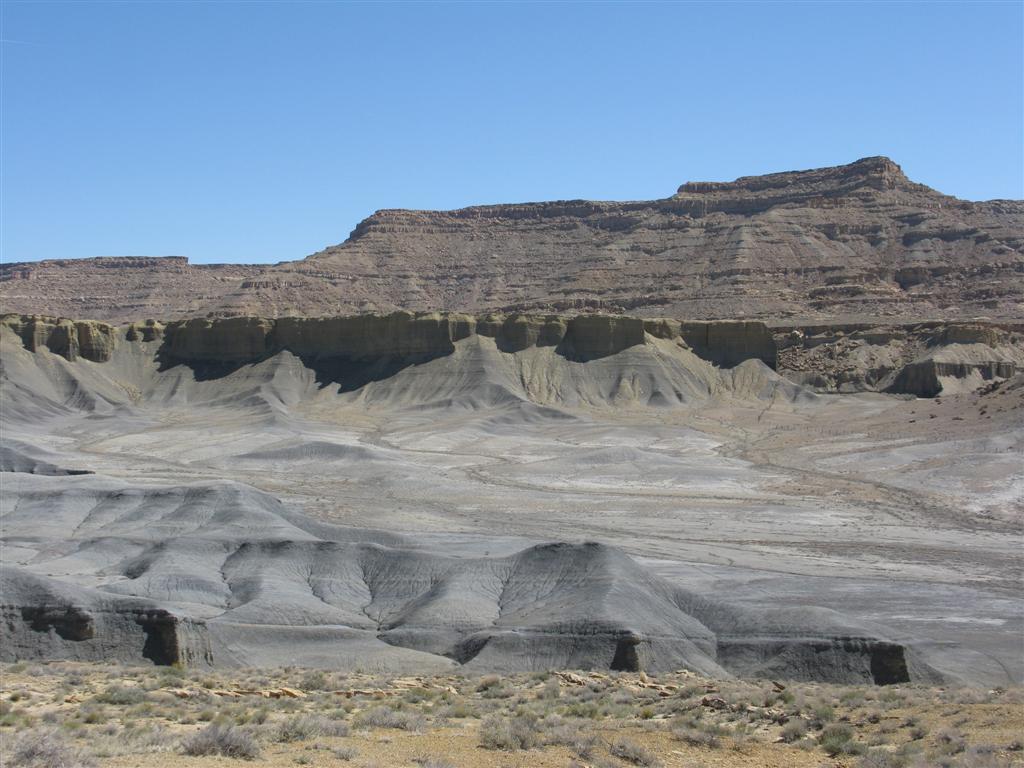 IMG_0202 (Large).JPG